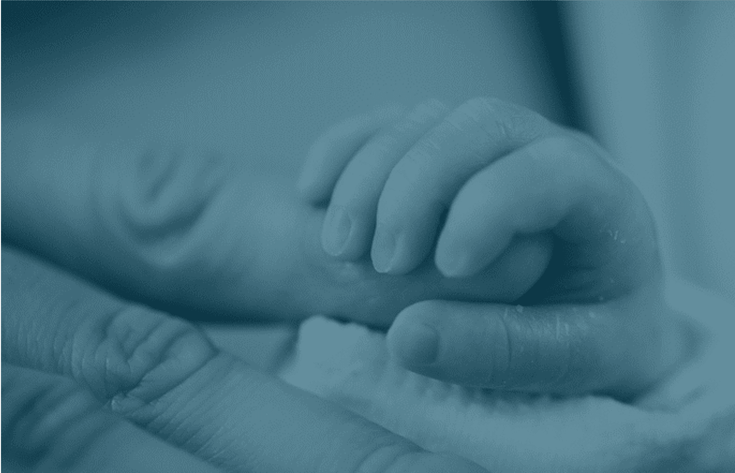 A baby's hand, holding the finger of an adult